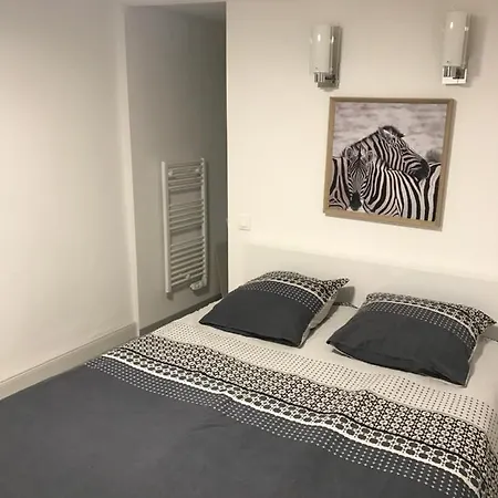 Apartment Renove 6 Personnes Centre *